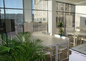 Gallery Seventh Slide 300x211 1